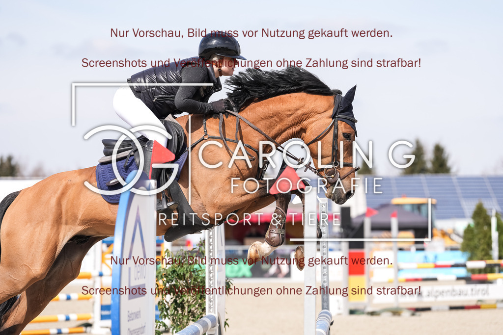 DSC05654 | Late_entry_Springturnier_Bad_Wurzach, Landcor_vd_Eickhoeve, Sarah_Chiara_Ott