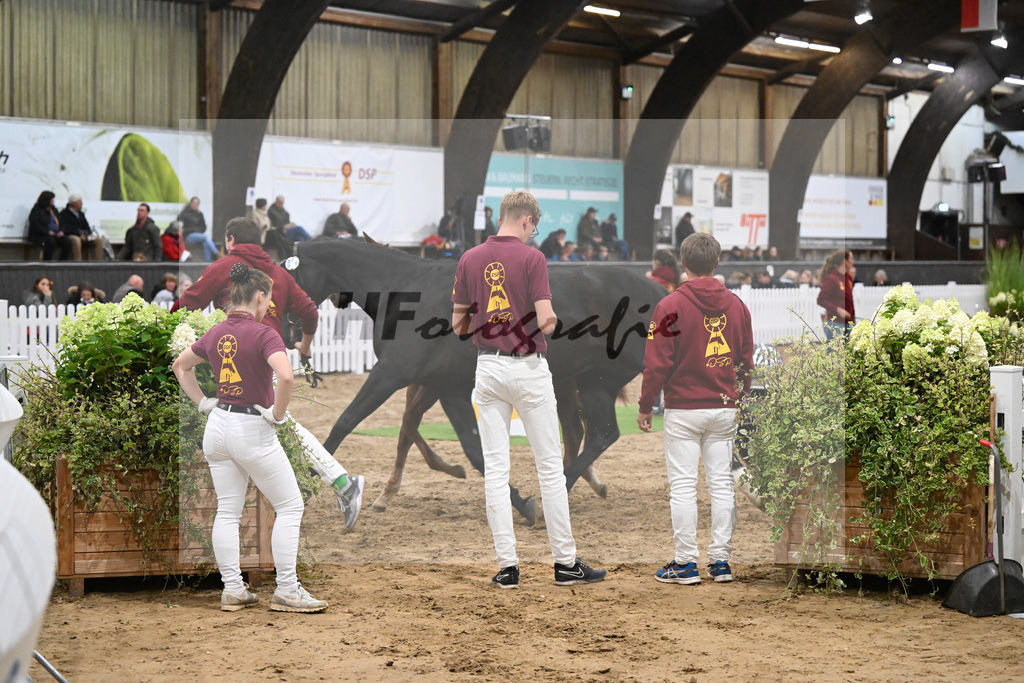 Fohlenauktion Next Chance_49220503 | hf-fotografie - Realisiert mit Pictrs.com