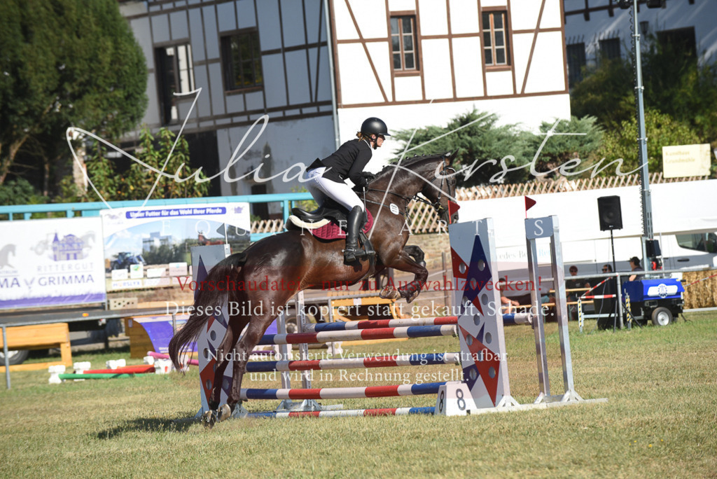 DSC_5384 | Pferde- und Turnierfotografie in Westsachsen. Pferdeportraits, Auftragszeichnungen und intuitive Kunst.