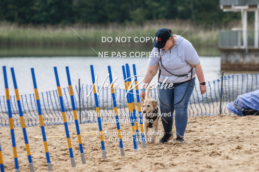 nelerasche_BuHu2026_So1530-Ende_65 | nelerasche