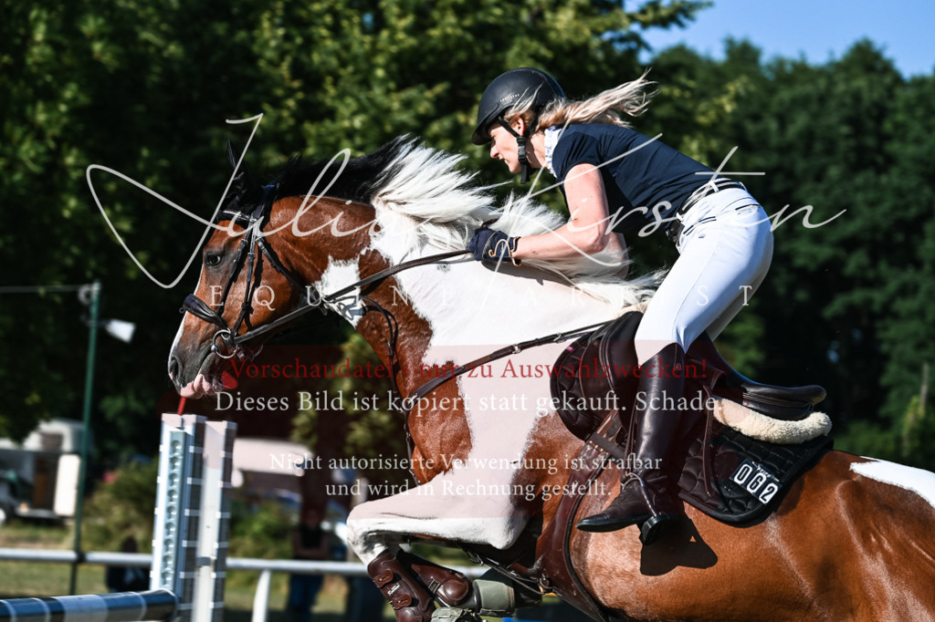 DSC_2848 | Pferde- und Turnierfotografie in Westsachsen. Pferdeportraits, Auftragszeichnungen und intuitive Kunst.