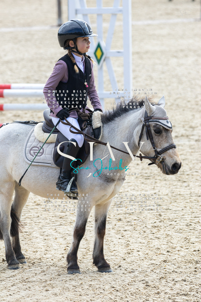 IMG_4737 | s-jay-photography - Realisiert mit Pictrs.com