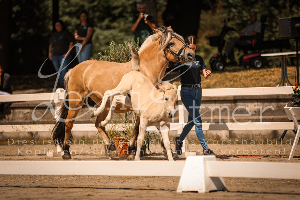 05.DoF00076 | Leoni Ertmer Photography - Realisiert mit Pictrs.com