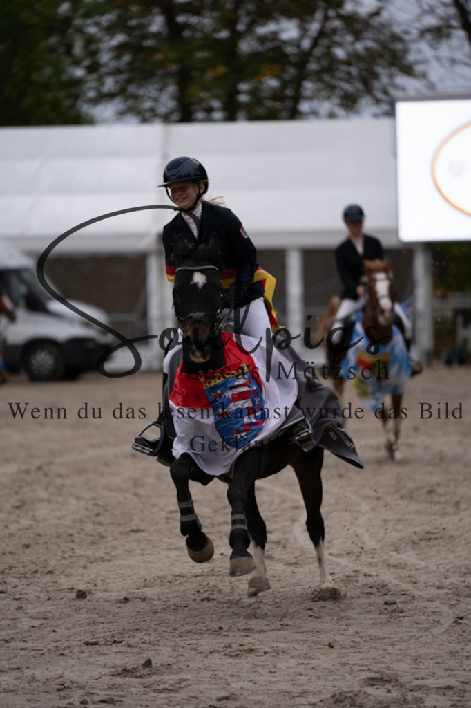 A7V01450 | Pferdefotograf