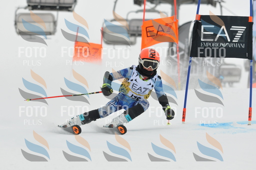 DSC_8631 | holidayphoto