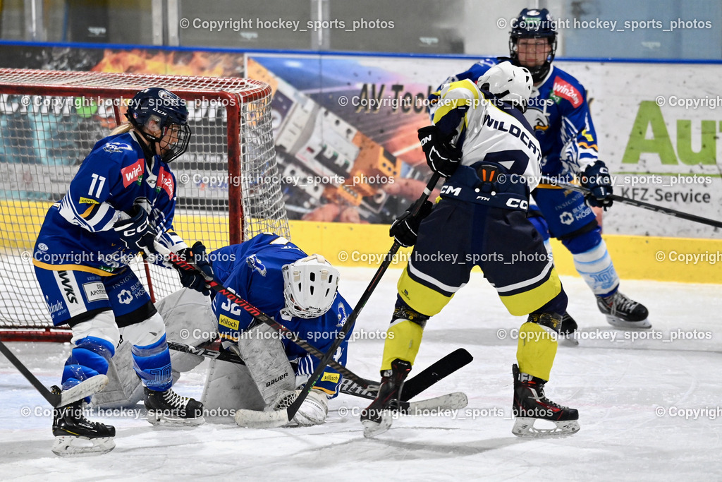 LADY HAWKS vs. WILDCATS PATERNION | #11 Zechner Annika LADY HAWKS, #32 Prasser Hannah Sophie LADY HAWKS, #4 Oberzaucher Christina WILDCATS PATERNION, LADY HAWKS vs. WILDCATS PATERNION, LADY HAWKS vs. WILDCATS PATERNION am 12.03.2025 in Steindorf (Ossiachersee Halle), Austria, (Photo by Bernd Stefan)