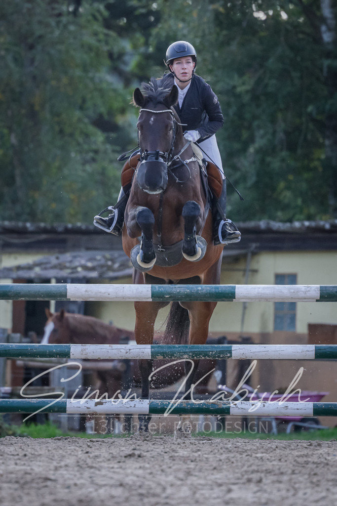 20251012-_3LI5625 | Tierfotografie Pferde, Hunde, Katzen, Haustiere.
Turnierfotografie Reitturniere, Reiten, Springreiten, Dressur in Hanau, dem Main-Kinzig-Kreis und dem Rhein-Main- Gebiet um Frankfurt