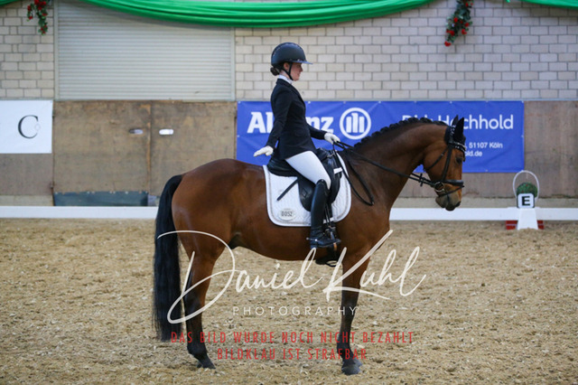 IMG_2809 | Turnierfotos kaufen im Webshop von Daniel Kuhl Photography – entdecke professionelle Reitsportfotos aus Turnieren & Events. Hochwertige Turnierbilder online bestellen & sichern. Jetzt Fotos von Reitsportturnieren kaufen!