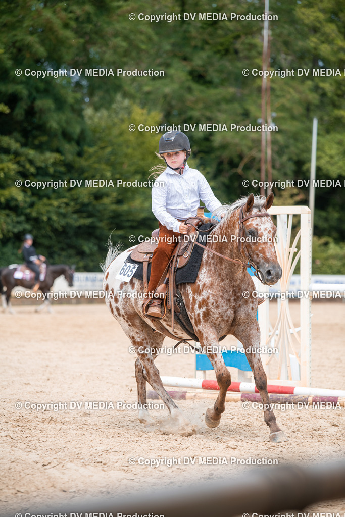 EWP_6636 | dv-media-shop - Realisiert mit Pictrs.com