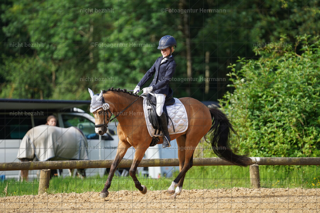 20240706-FAH04401 | Grafing Turnierfotos, Reitverein Ebersberg, Turnierfotografen Bayern, reitsportbilder, Pferdefotograf, reitsportfotograf, Sportbilder, Reitsportfotografie, Fotoagentur Herrmann, Turnierfotograf