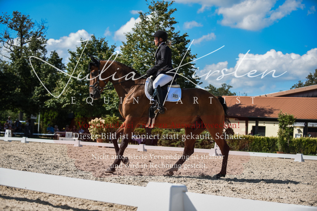 DSC_9675 | Pferde- und Turnierfotografie in Westsachsen. Pferdeportraits, Auftragszeichnungen und intuitive Kunst.