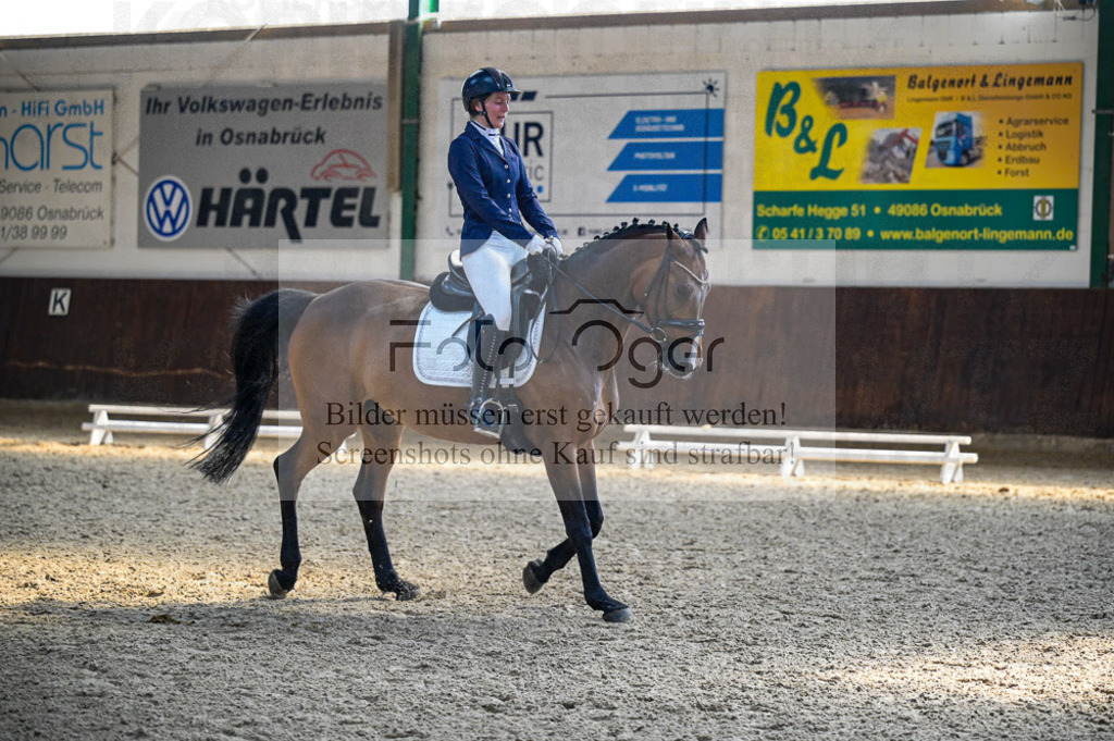 Reitturnier Voxtrup | Entdecke hochwertige Reitturnierfotos von Foto Oger. Professionell, emotional und authentisch – jetzt Lieblingsmomente im Shop bestellen.Deutschlandweite Turnierfotografie. - Realisiert mit Pictrs.com