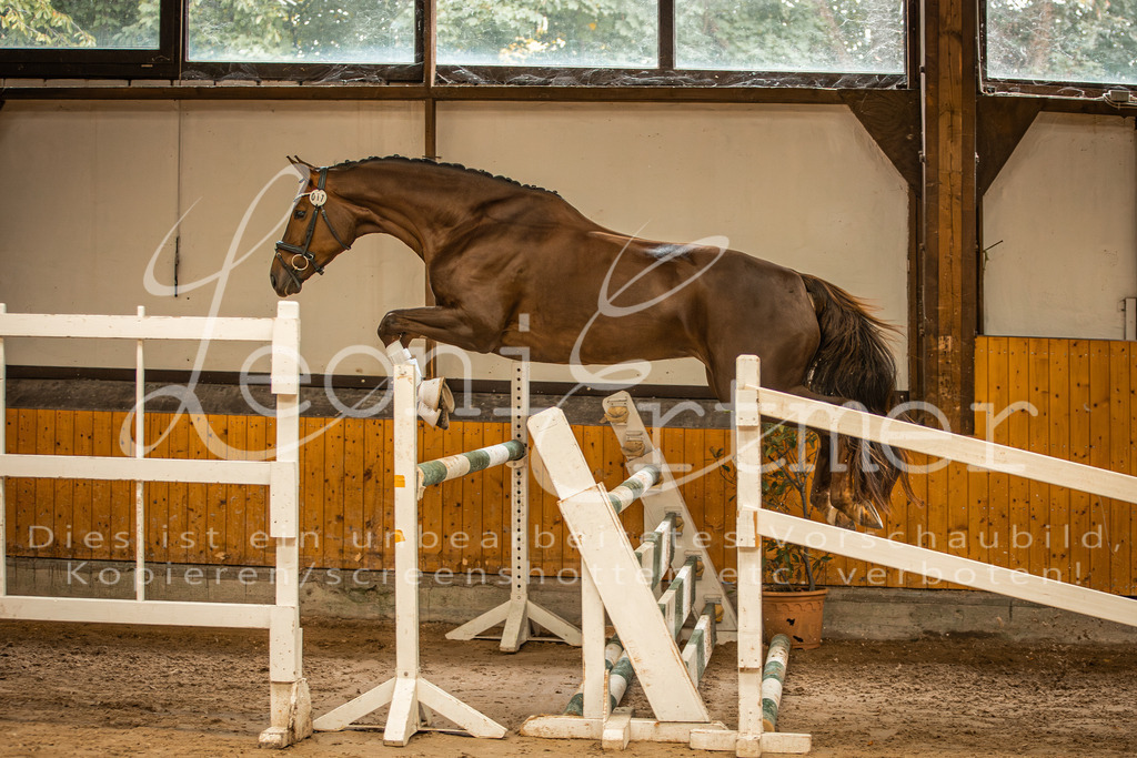 2FS_L00070 | Leoni Ertmer Photography - Realisiert mit Pictrs.com