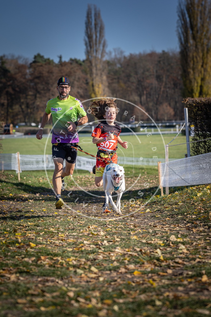 CaniXpix_DV3A7904 | Hundefotografie, Tierfotograf, Pfotenfotografie, Fotoshooting Hund, Hunde Portrait, Hundesport, Hundeportraits, Heideshooting, Hunde, Sportfotograf, Hundefotograf, Turnierhundsport, THS,  - Realisiert mit Pictrs.com