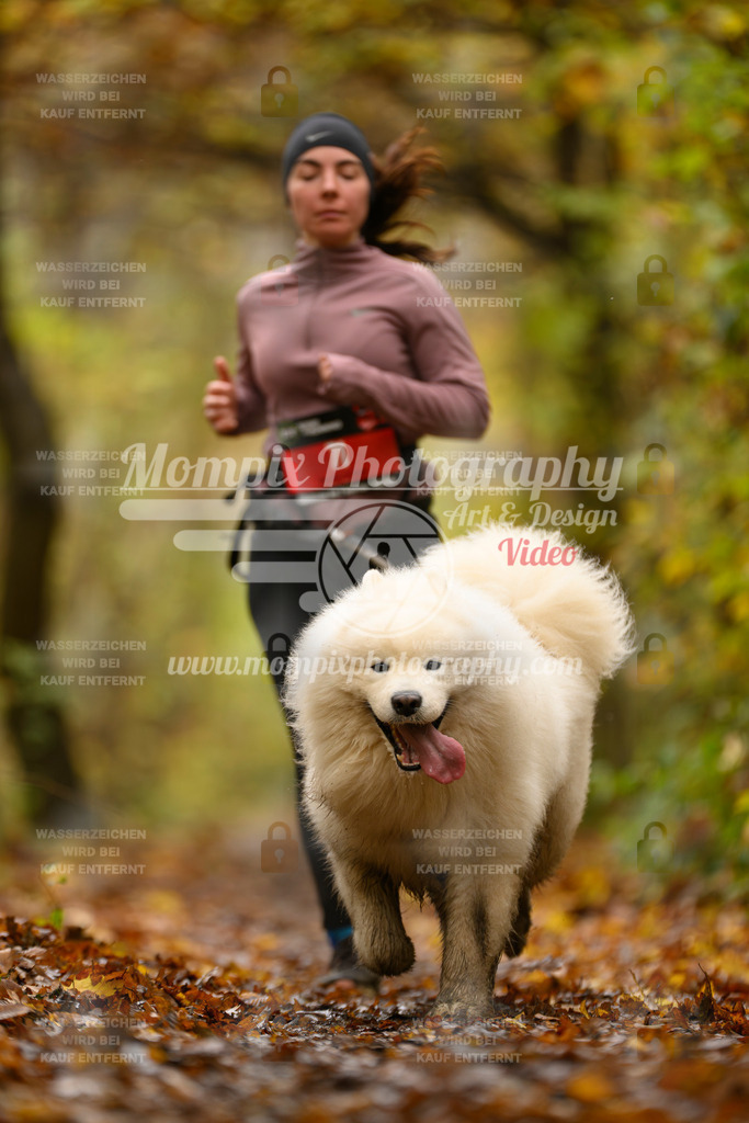 MompixPhotography_CD7S_DI_CCL-57 | mompixphotography