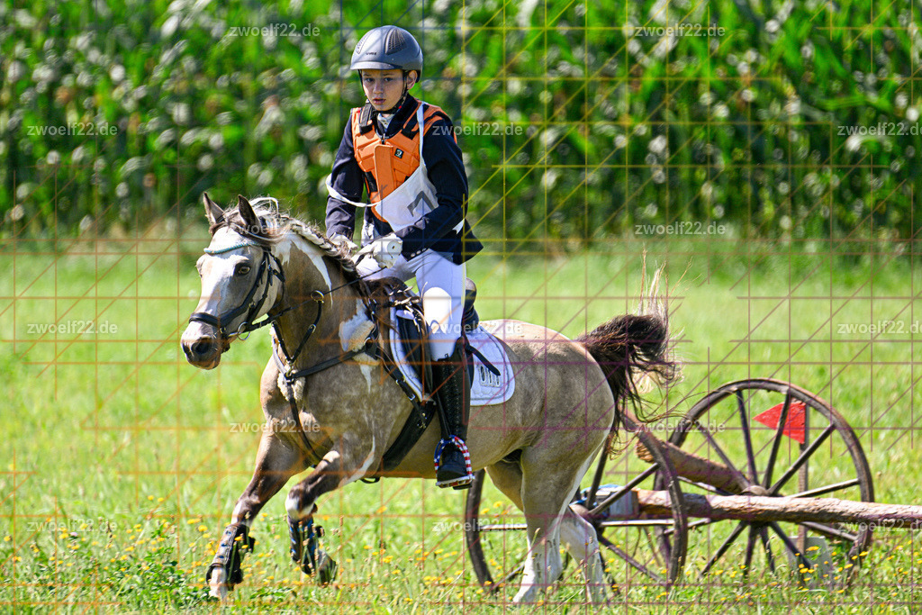 30 Jahre RFV Pulsnitz e.V., Pulsnitz am 09.08.2026 | 30Jahre Reit- und Fahrverein Pulsnitz e.V., Pulsnitz am 08.08.2026, Zur 28. breitensportlichen Veranstaltung des RFV Pulsnitz e.V. fanden verschiedene Wettbewerbe in nahezu allen Disziplinen des Pferdesport statt.- Geländereit-Wettbewerb Fortgeschrittene - Realisiert mit Pictrs.com