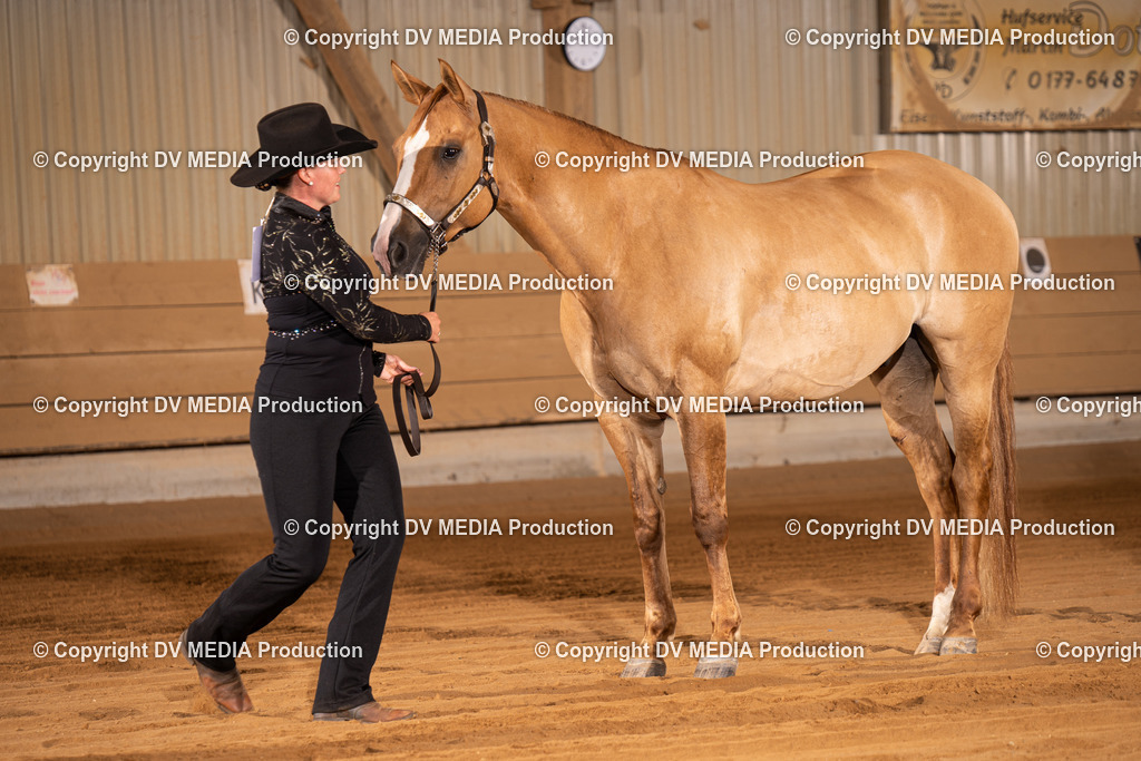 NID00008 | dv-media-shop - Realisiert mit Pictrs.com