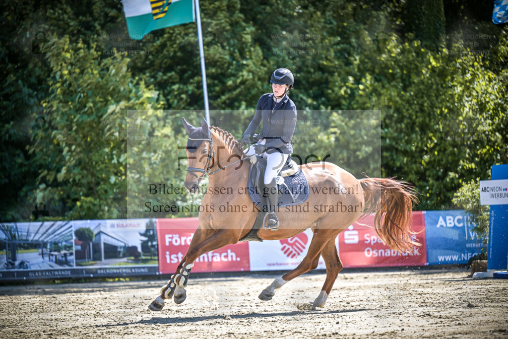 DOS_7185 | Entdecke hochwertige Reitturnierfotos von Foto Oger. Professionell, emotional und authentisch – jetzt Lieblingsmomente im Shop bestellen. - Realisiert mit Pictrs.com