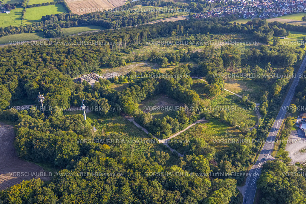 Werl230807107 | Luftbild, Stadtwald, Werl, Werl-Unnaer Börde, Nordrhein-Westfalen, Deutschland