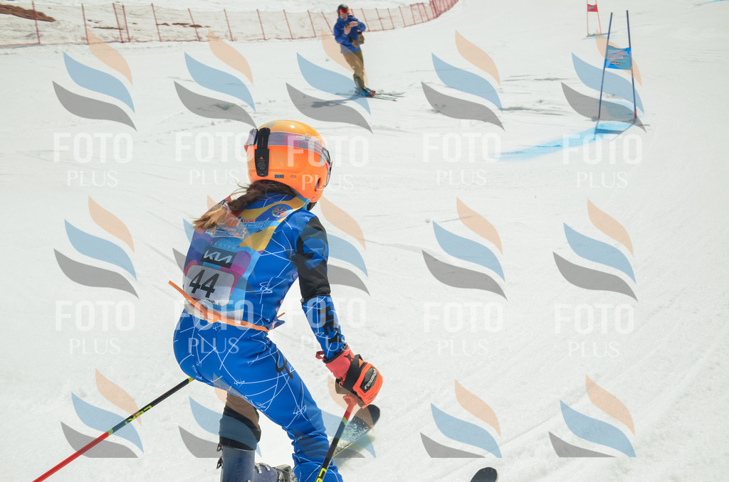 _ELE5100 | holidayphoto