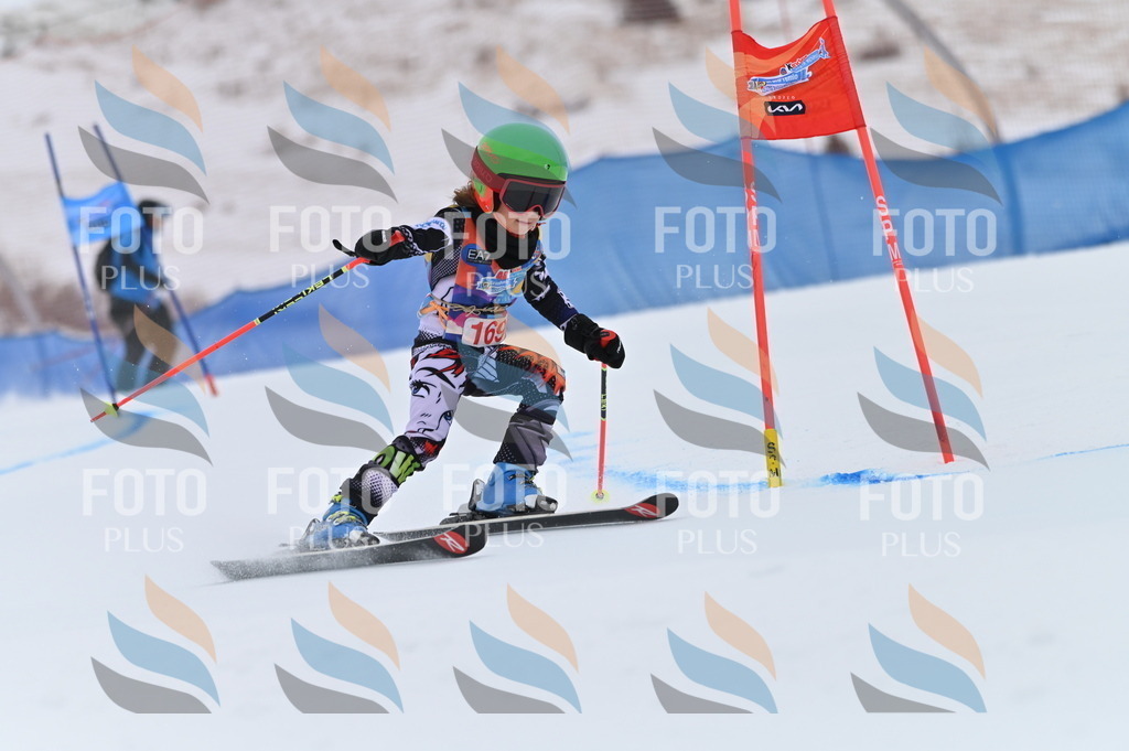 BGV_0539 | holidayphoto