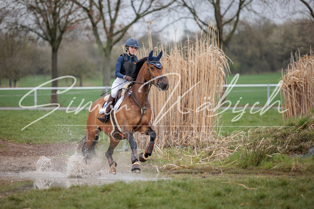 20260329-_3LI3889 | Tierfotografie Pferde, Hunde, Katzen, Haustiere.
Turnierfotografie Reitturniere, Reiten, Springreiten, Dressur in Hanau, dem Main-Kinzig-Kreis und dem Rhein-Main- Gebiet um Frankfurt