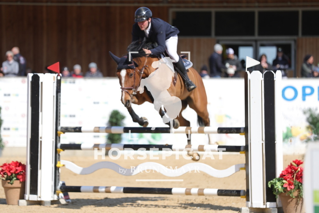 0P6A0881 | Willkommen bei Brunnmayr - Design & Fotografie – Ihrem Spezialisten für Reitturniere und Pferdeveranstaltungen in Oberösterreich, Salzburg und Bayern! Seit über 17 Jahren sind wir leidenschaftlich dabei.