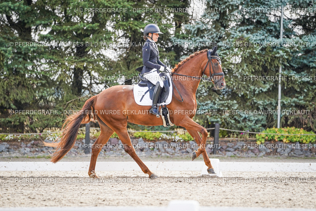 DSC00724 | Pferdegrafie