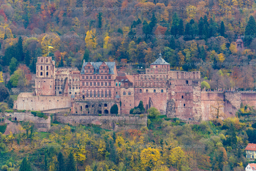 Schloss Heidelberg | Willkommen im Shop von Photography Sascha Staub. Hier findest du alle Fotos und Medieninhalten von Sascha Staub. In diesem Shop kannst du Lizenzen zu den Fotos, Drucke und Gutscheine für den Shop erwerben.  - Realisiert mit Pictrs.com