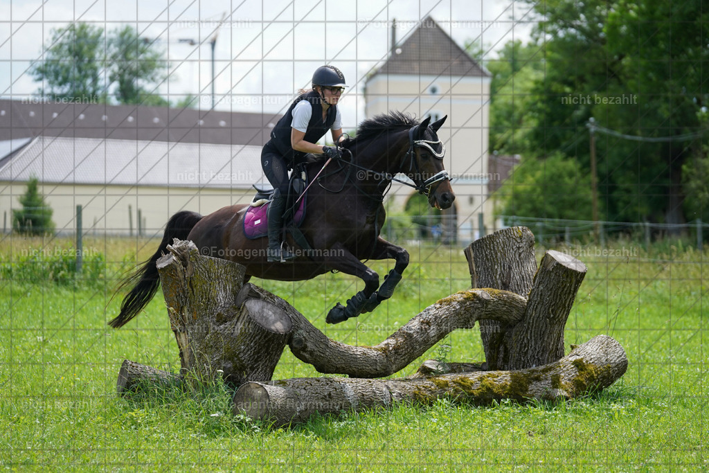 20240622-FAH07521 | Turnierfotografen Bayern, Reitsportbilder aus dem Geländekurs mit Felix Etzel auf dem Gut Waitzacker 2024