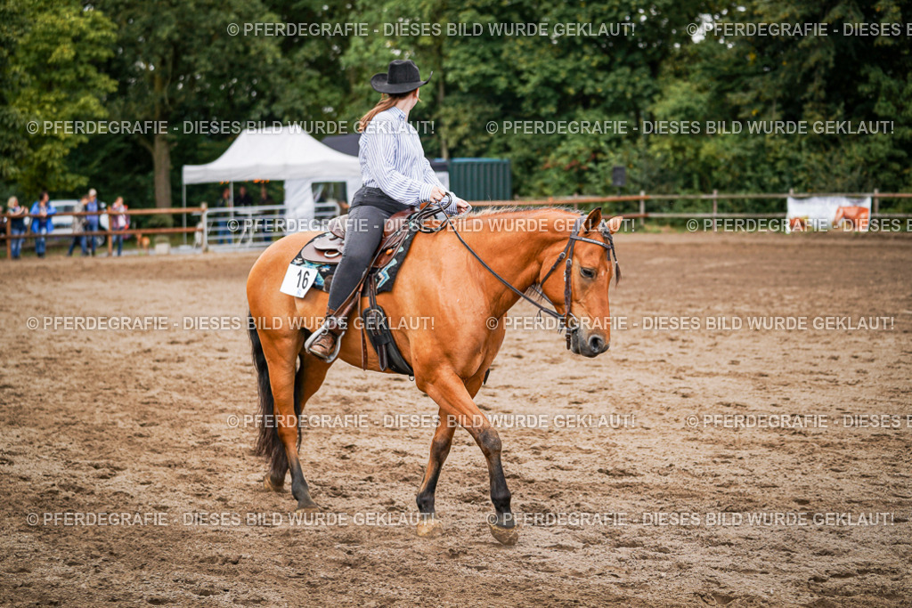 DSC08603 | Pferdegrafie