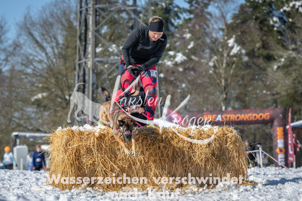 1117_ZZ91127-3 | kk-dogfotos
