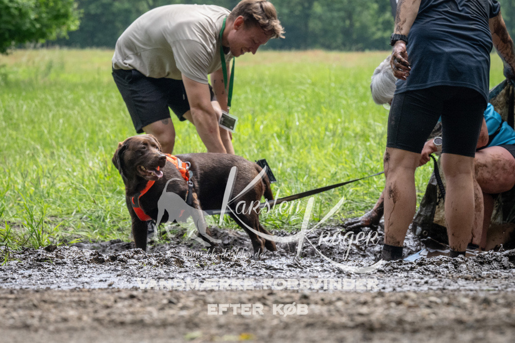 1105_ZZ91246 | kk-dogfotos