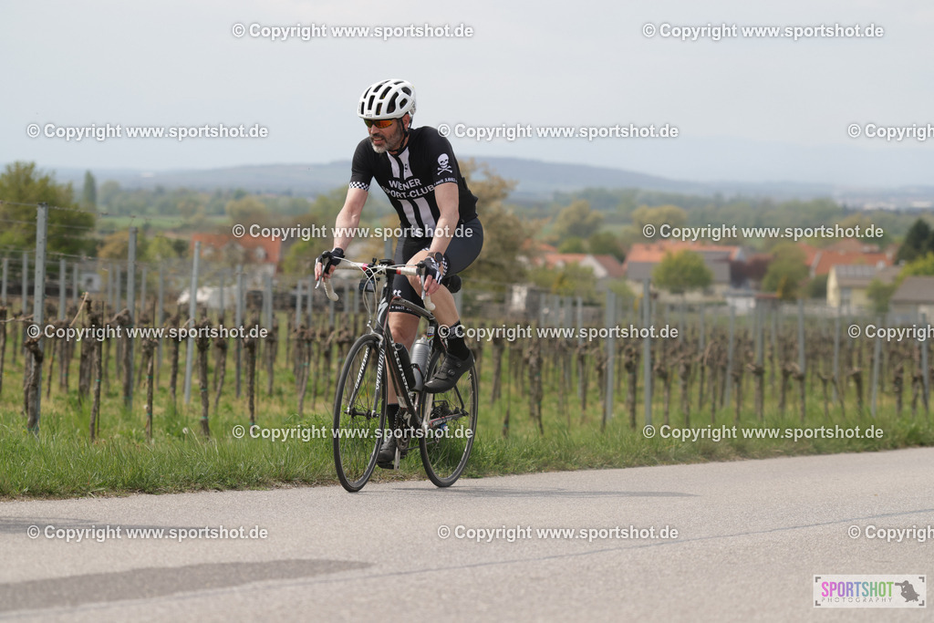 368A5352 | Neusiedlersee Radmarathon 2026@sportshot_your_pictrs #yourpictures#roadtowm2029 #nrm #neusiedlerseeradmarathon #neusiedlersee #neusiedlerseetourismus #burgenland #mörbisch #nrm26 #burgenlandtourismus #voglundco #poweredbyburgenlandtourismus #radsport #rad #marathon #ucigranfondo #visitburgenland #ucigranfondoworldseries
