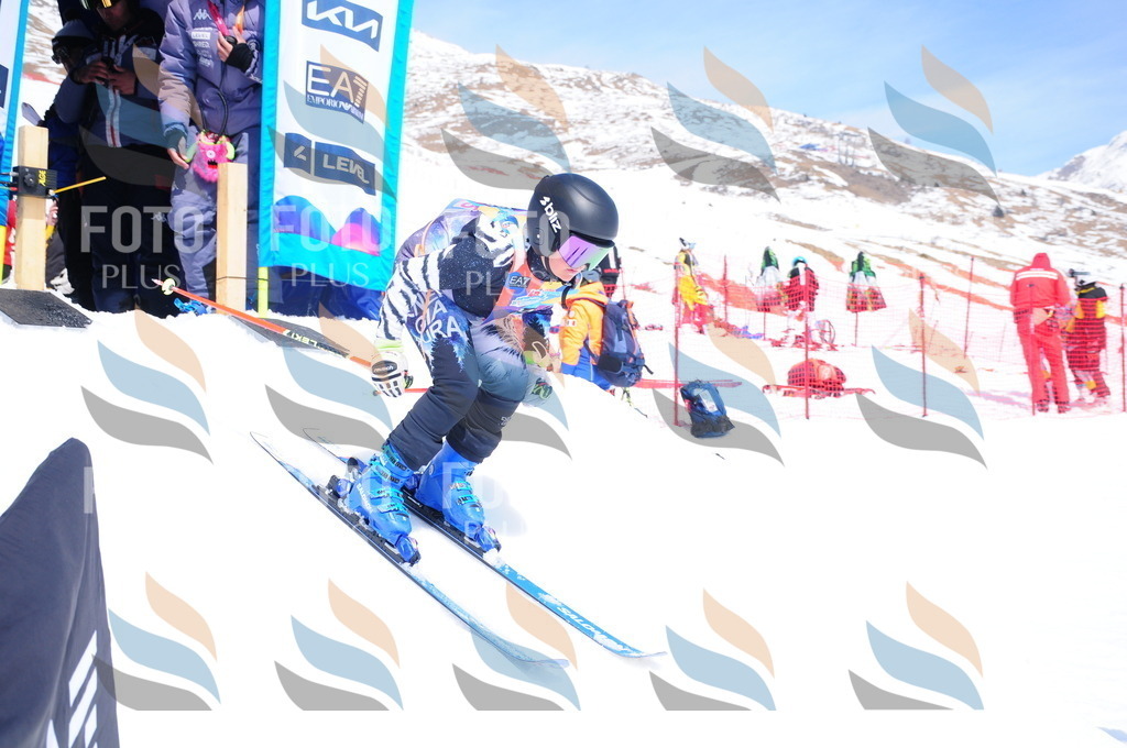 DSC_7091 | holidayphoto