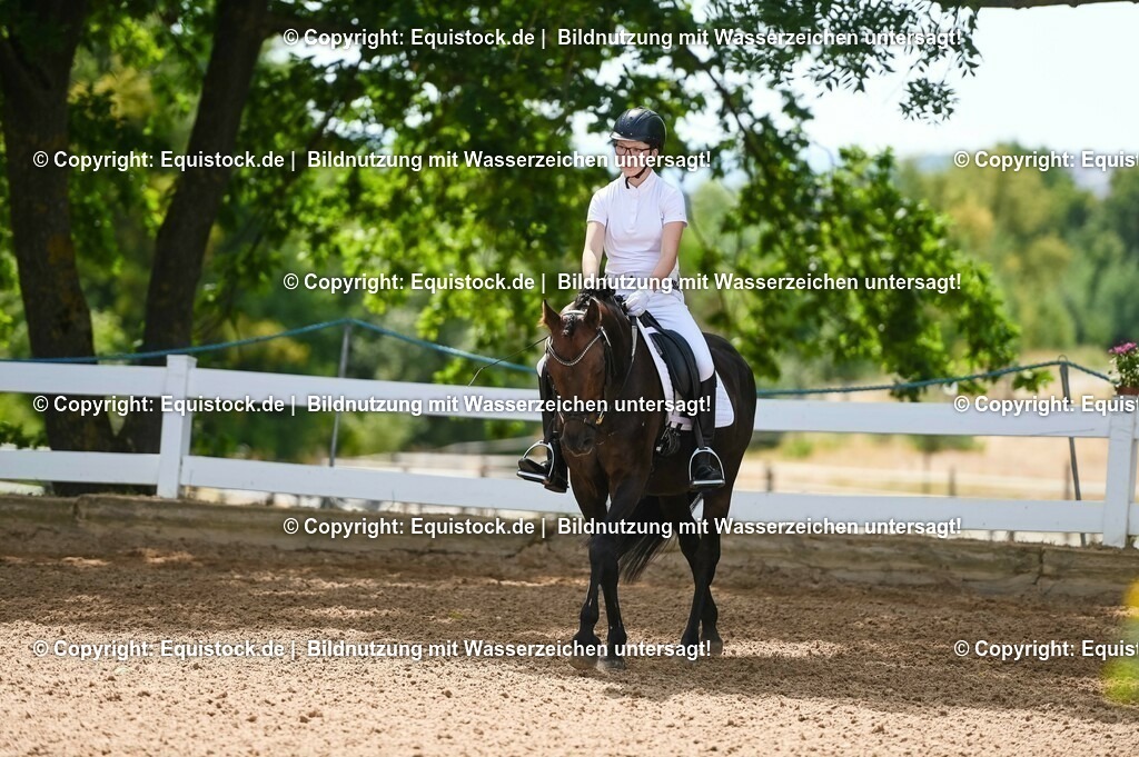 20230715_09_Dressur-WB_0200 | equistock