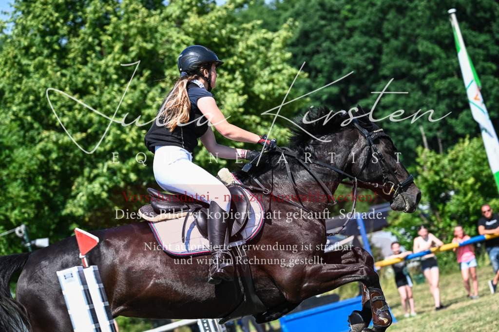 DSC_1329 | Pferde- und Turnierfotografie in Westsachsen. Pferdeportraits, Auftragszeichnungen und intuitive Kunst.