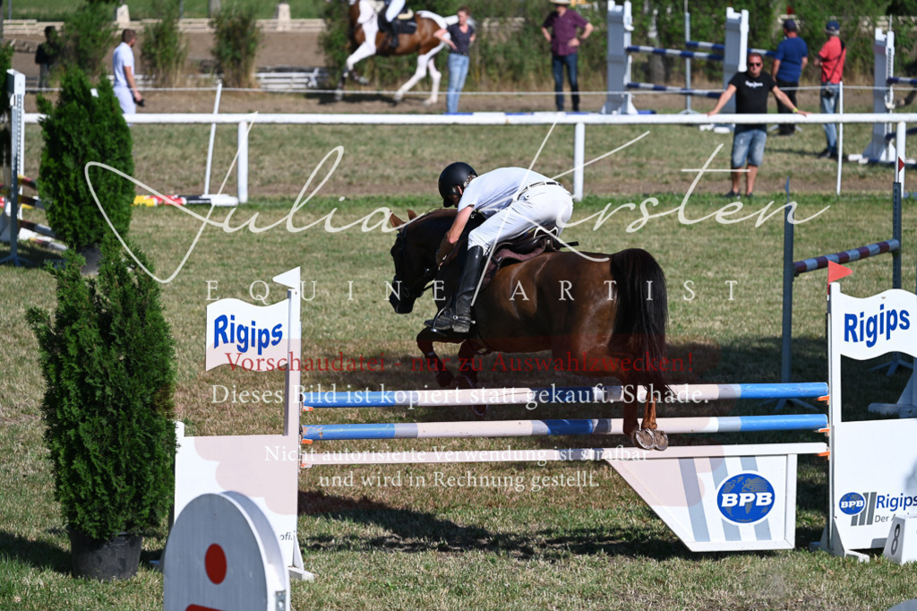 DSC_2270 | Pferde- und Turnierfotografie in Westsachsen. Pferdeportraits, Auftragszeichnungen und intuitive Kunst.