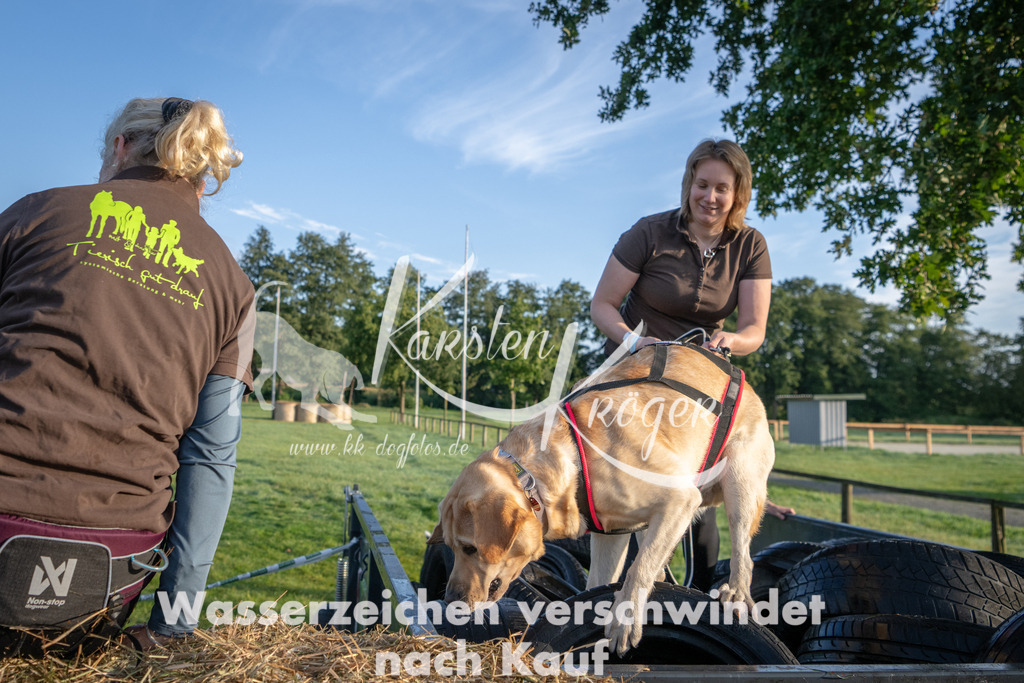 0817_ZZ90849 | kk-dogfotos