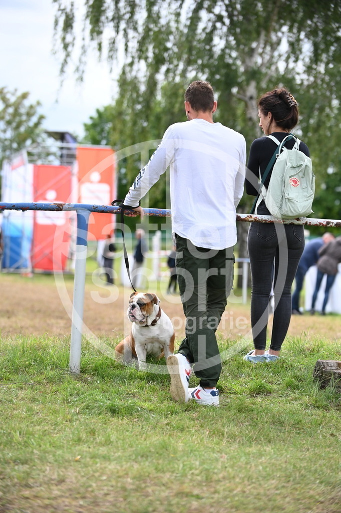 DSC_5219 | sattelsport - Realisiert mit Pictrs.com