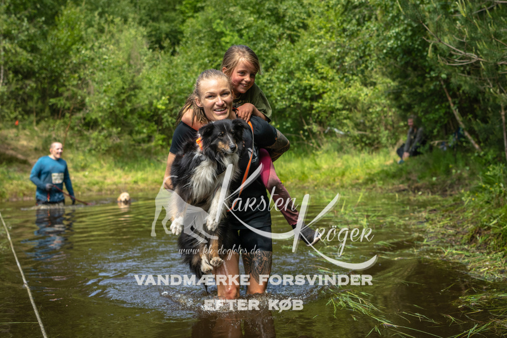 1254DKK993584 | kk-dogfotos