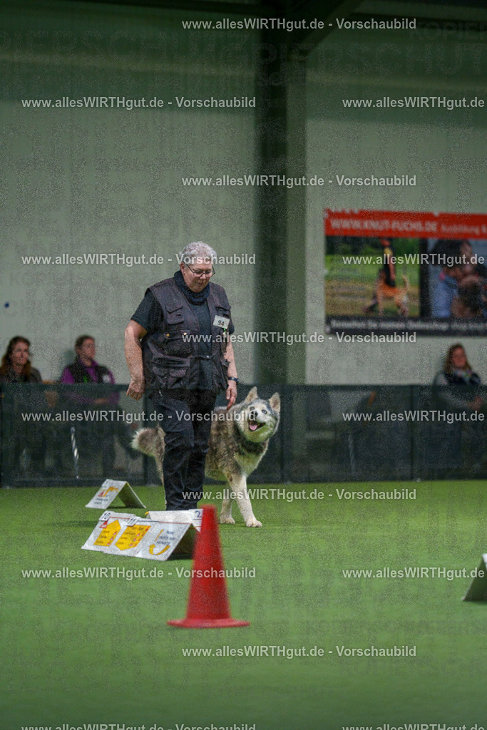 7R504366 | Professionelle Tierfotografie in Mönchengladbach von Daniel Wirth (allesWIRTHgut). Liebevolle & natürliche Bilder von Hunden & Katzen für unvergessliche Erinnerungen.