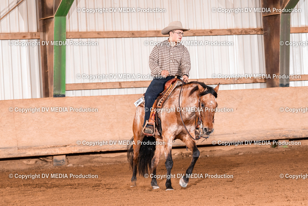 Balingen Tag 2-1472 | dv-media-shop - Realisiert mit Pictrs.com