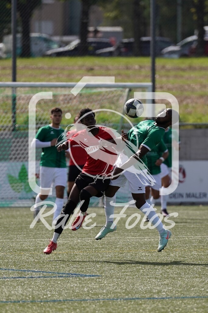 DSC08733 | rabefotos