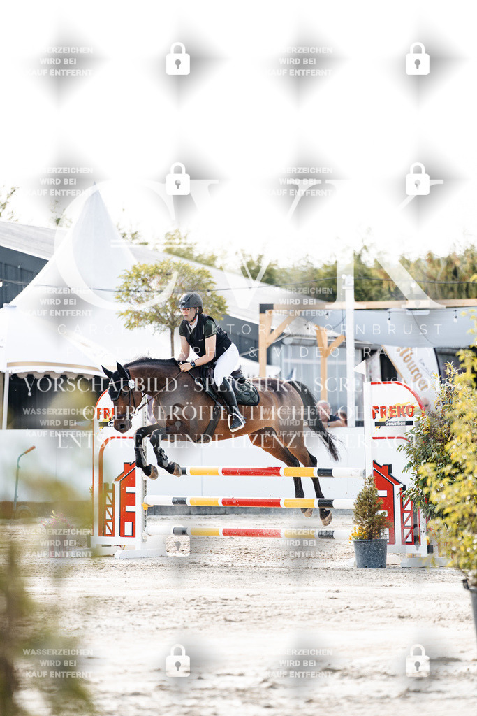 CK906264 | Turnierfotografie Pferdefotografie Trier Rheinland-Pfalz Pferdesport Reitsport Tierfotografie Sportfotografie Pferdevideo Pferdevideografie Equestrianvideography equestrianphotography  - Realisiert mit Pictrs.com