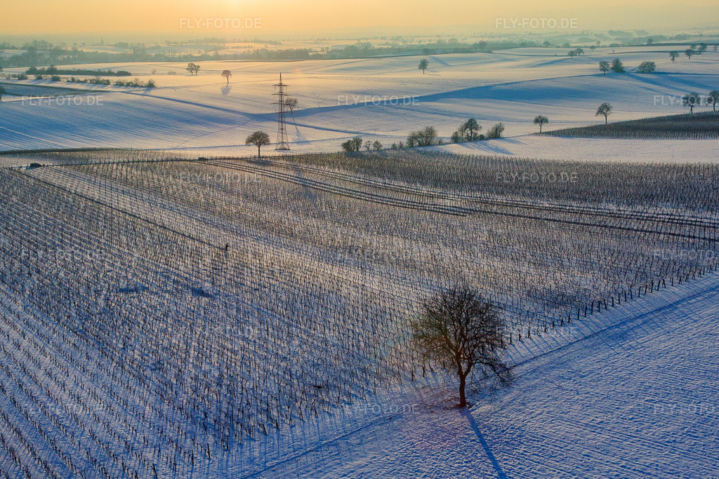 Luftbild: Weinreben im Winter bei Schnee in Dierbach im Bundesland Rheinland-Pfalz in Deutschland. Foto: IMG_36486.jpg vom 03.01.2011 durch Werner Riehm/FLY-FOTO.de