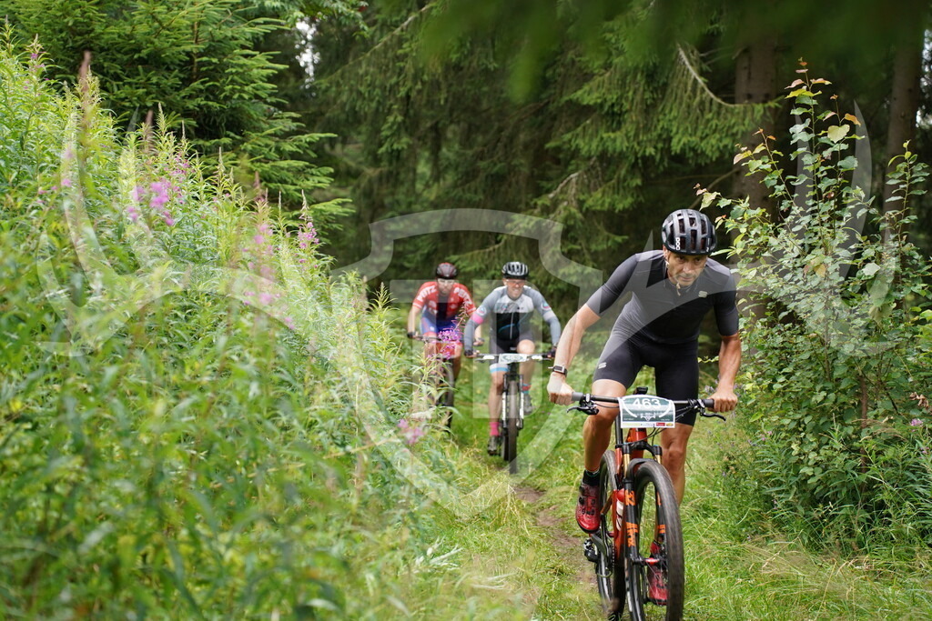 DSC04085 | Fotogalerie der Treibjagd im Dunkelwald - Dein MTB Etappenrennen im Erzgebirge - Realisiert mit Pictrs.com