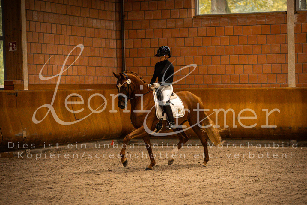 1Reiten00142 | Leoni Ertmer Photography - Realisiert mit Pictrs.com