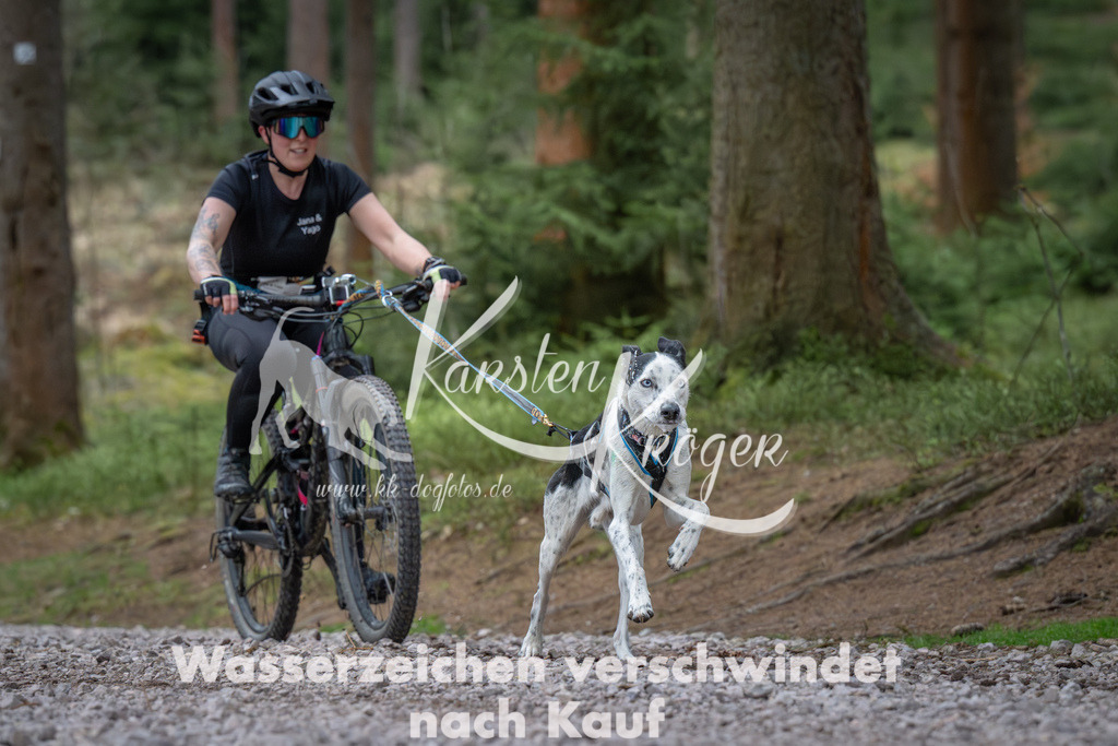 0949_ZZ91986 | kk-dogfotos