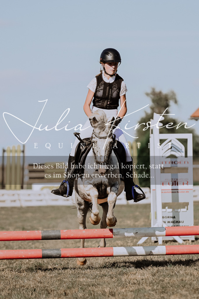 DSC_9440 | Pferde- und Turnierfotografie in Westsachsen. Pferdeportraits, Auftragszeichnungen und intuitive Kunst.